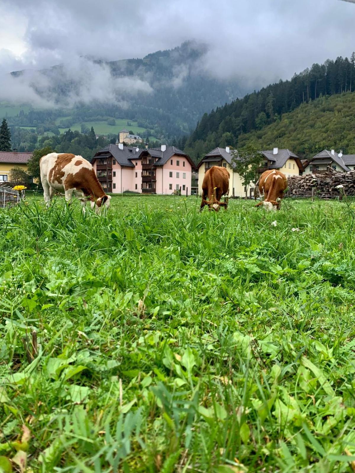 Panorama Apartments Semslach Obervellach Exterior foto